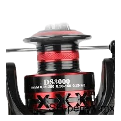 DS3000