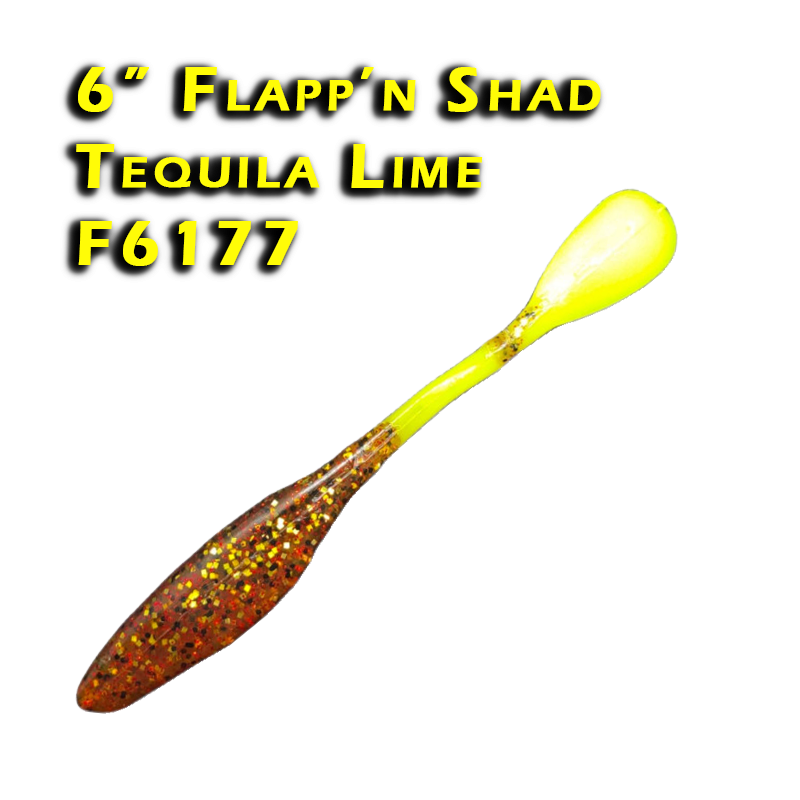 Flapp'n Shad Tequila Lime