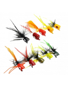 for Fly