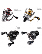 Reels